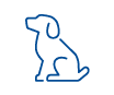 Pet Insurance
